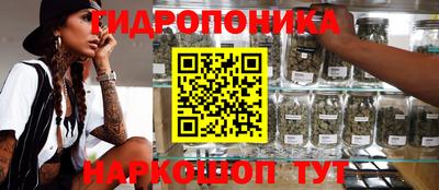 спиды Аргун