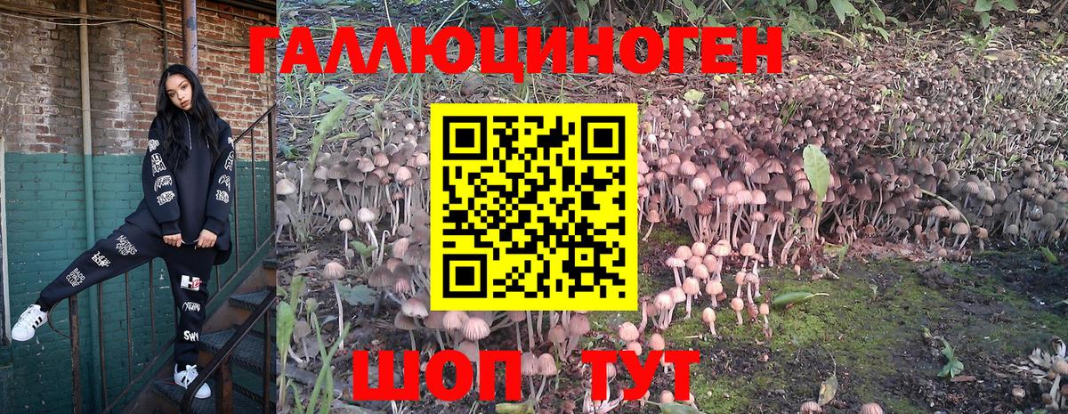 Белебей  Псилоцибиновые грибы MAGIC MUSHROOMS  где найти   Вход с VPN 